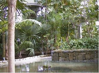 Jardin Botanico.JPG