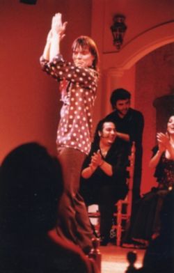 El Arte de Vivir el Flamenco.