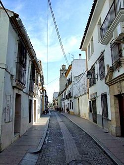 CalleAgustinMoreno02.jpg